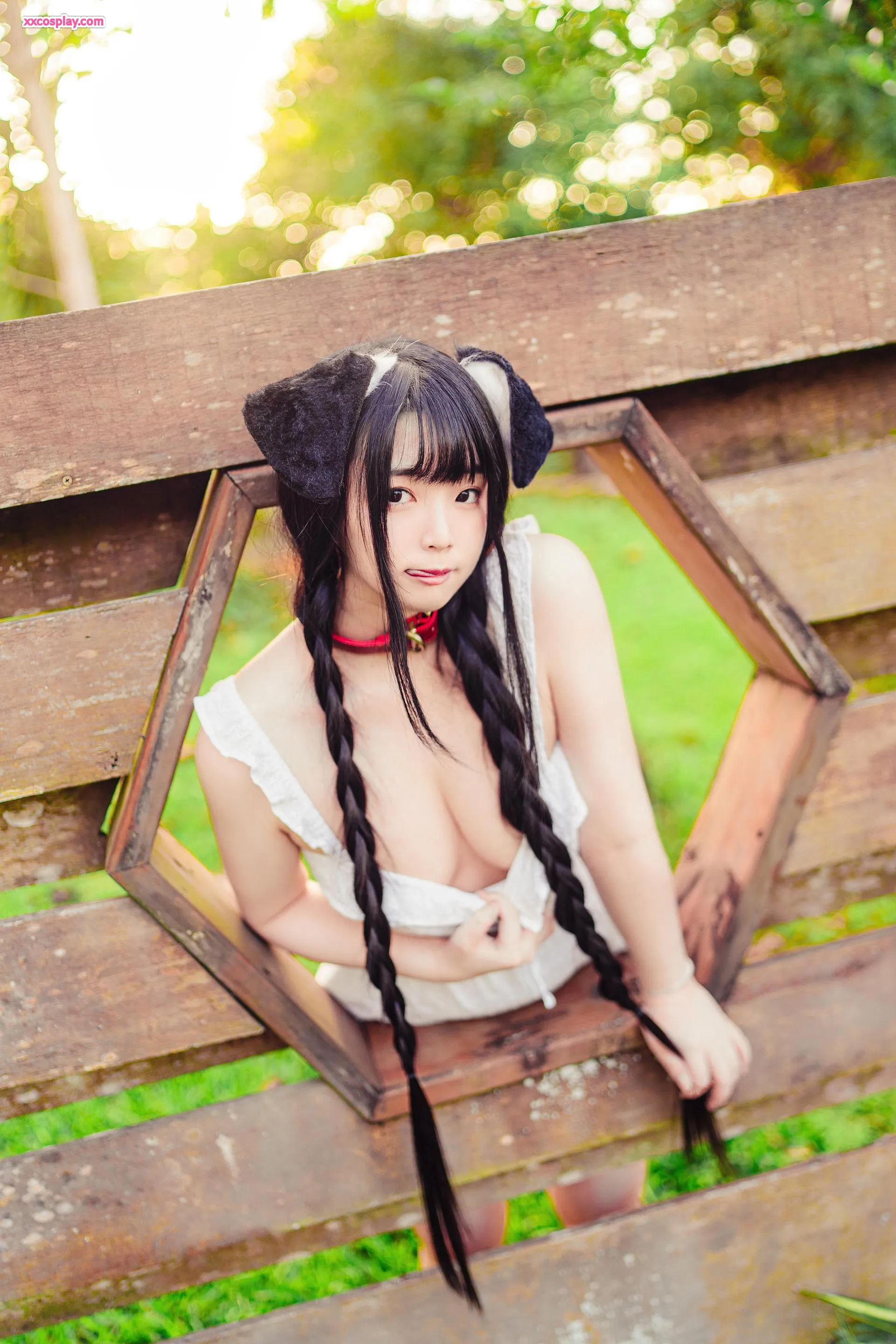 Raku: Your Adorable Puppy